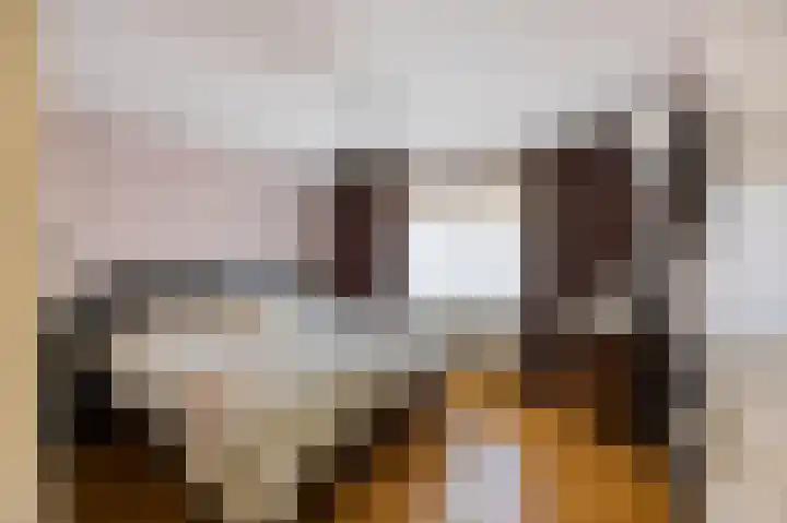 Stevensweerterweg 3 Maasbracht thumbnail 24