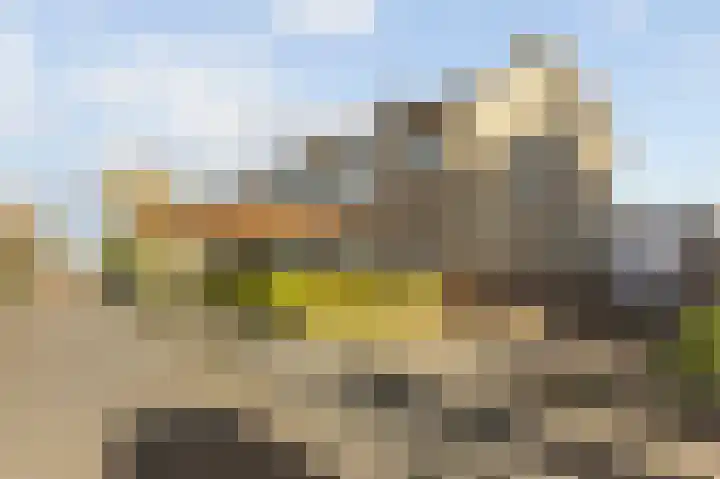 Stevensweerterweg 3 Maasbracht thumbnail 28