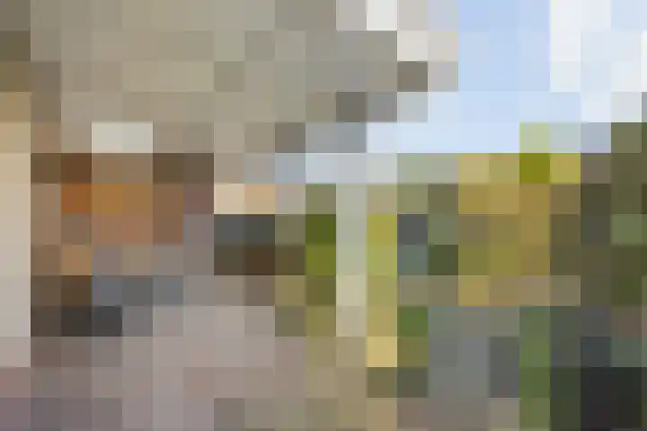 Stevensweerterweg 3 Maasbracht thumbnail 31