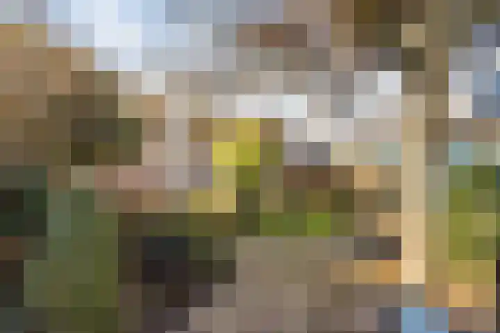 Stevensweerterweg 3 Maasbracht thumbnail 32