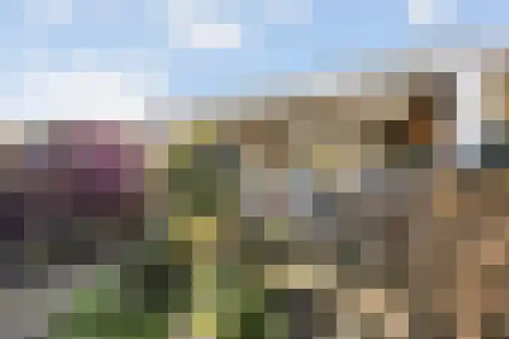 Stevensweerterweg 3 Maasbracht thumbnail 33
