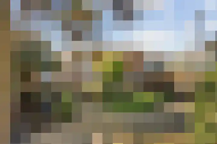 Stevensweerterweg 3 Maasbracht thumbnail 35