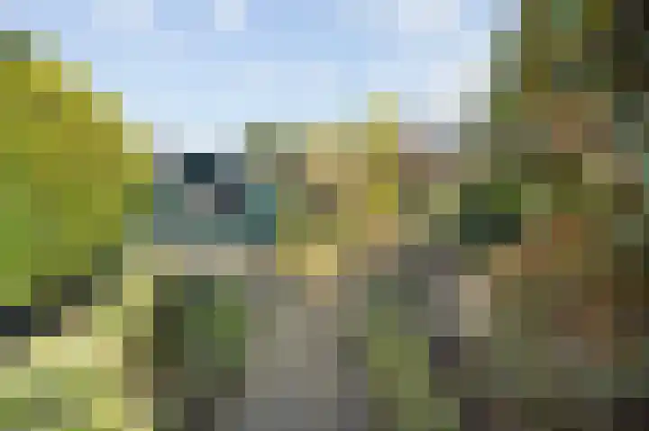 Stevensweerterweg 3 Maasbracht thumbnail 36
