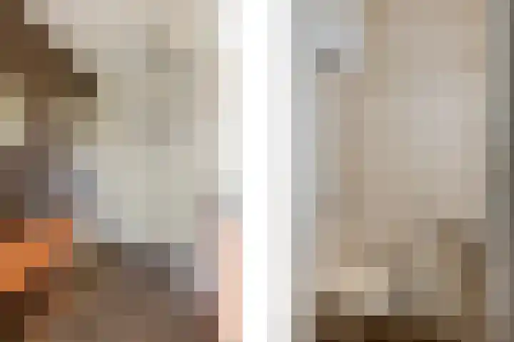 Stevensweerterweg 3 Maasbracht thumbnail 5