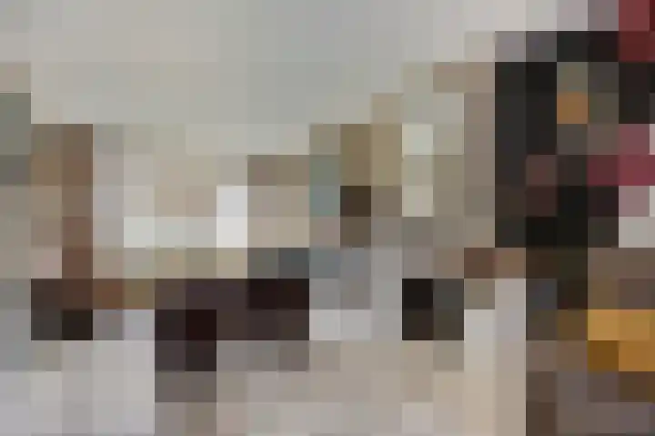 Stevensweerterweg 3 Maasbracht thumbnail 6