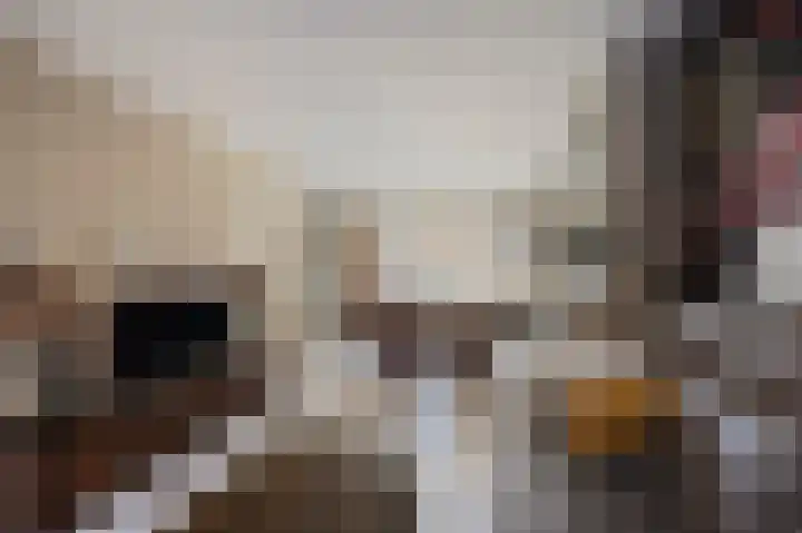 Stevensweerterweg 3 Maasbracht thumbnail 9