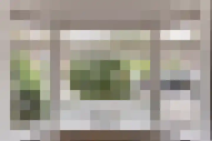 Stevensweg 10 Dordrecht thumbnail 12