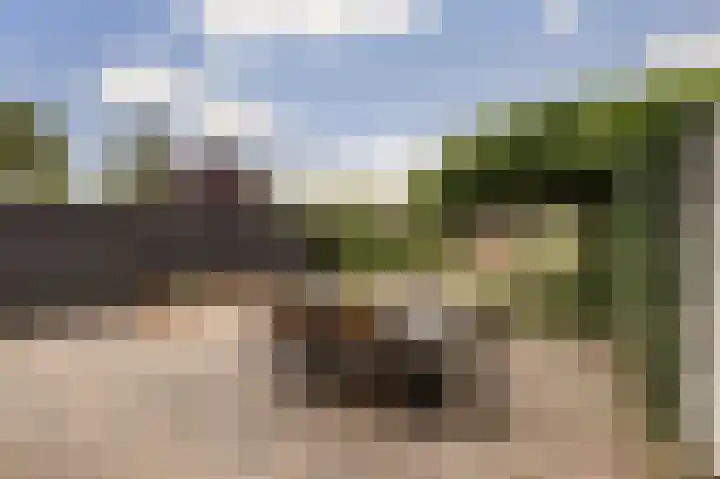 Stevensweg 10 Dordrecht thumbnail 33