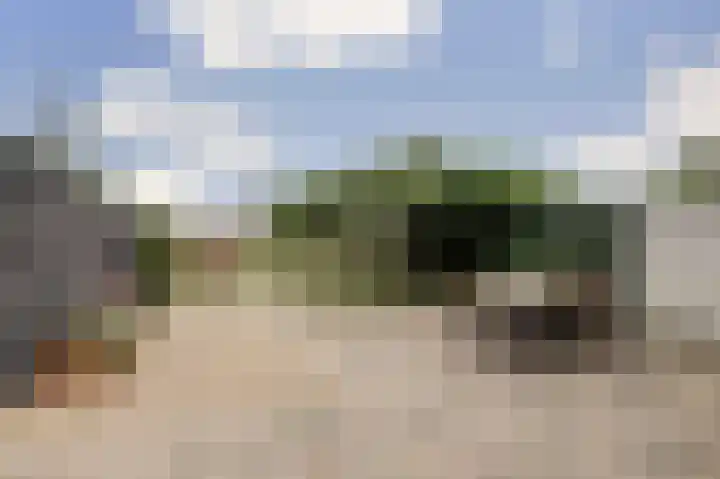 Stevensweg 10 Dordrecht thumbnail 34