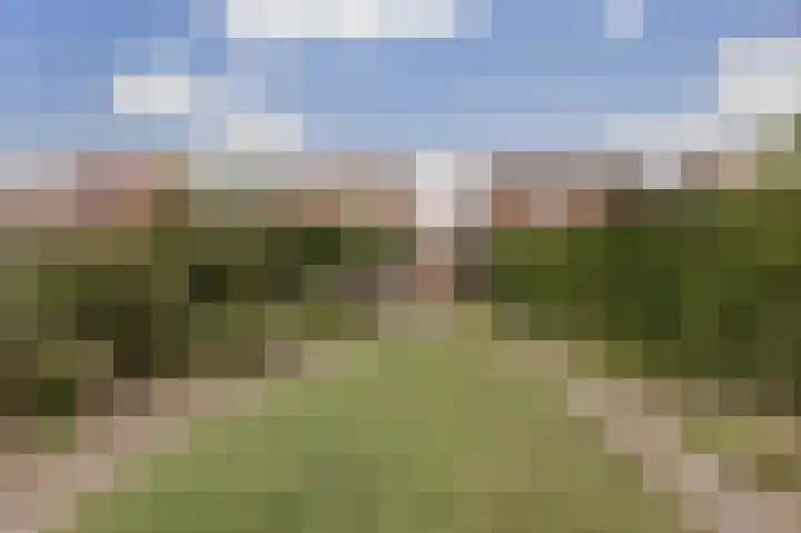Stevensweg 10 Dordrecht thumbnail 35