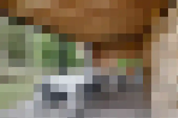 Stevensweg 10 Dordrecht thumbnail 38