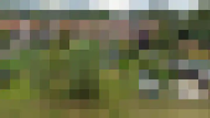 Stevensweg 10 Dordrecht thumbnail 45