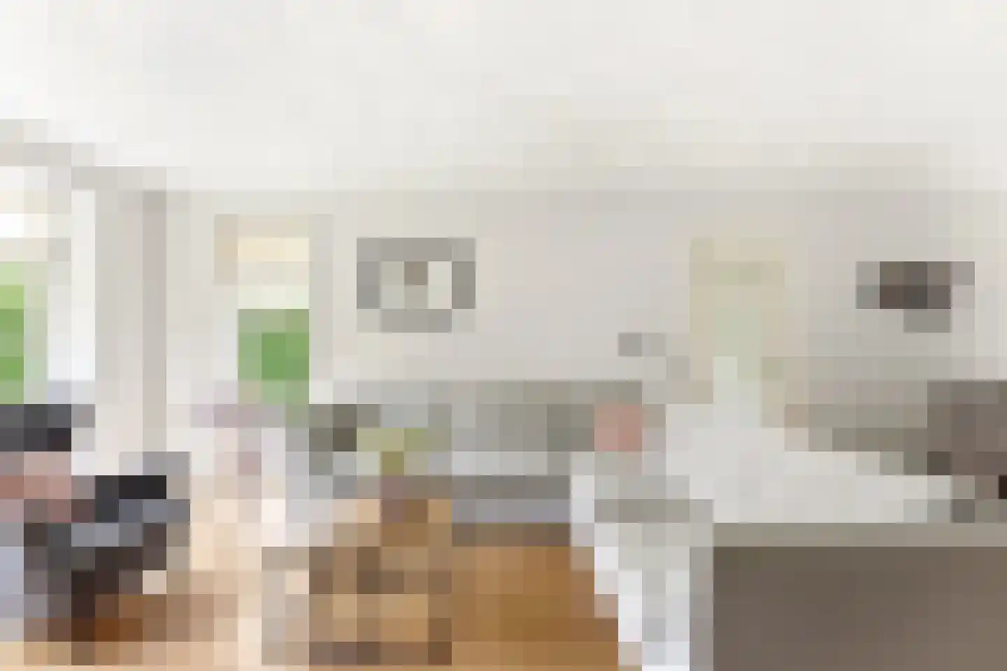 Stevensweg 25 Dordrecht thumbnail 11