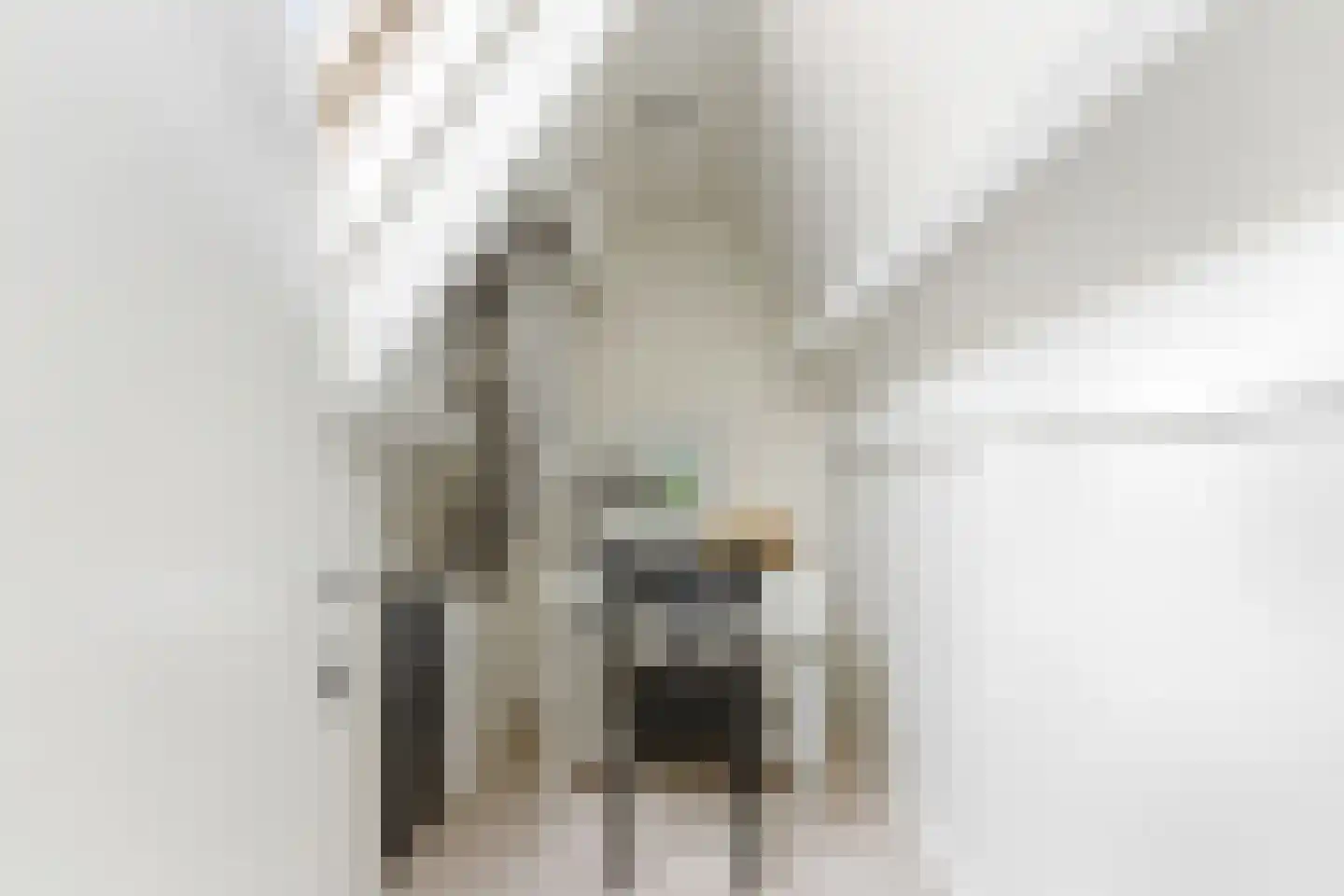 Stevensweg 25 Dordrecht thumbnail 36