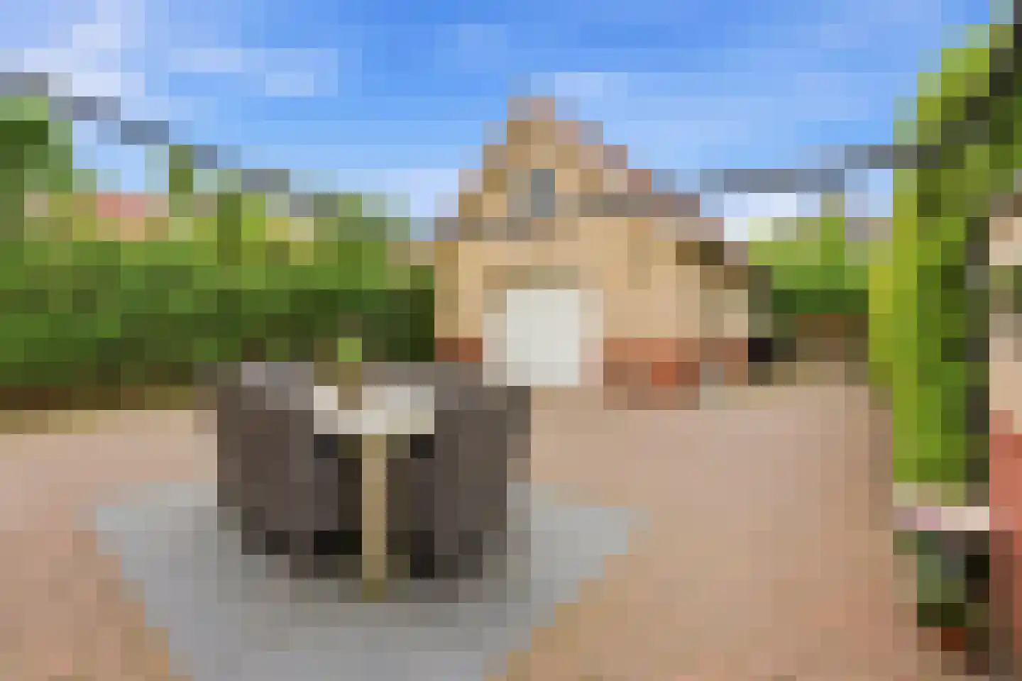 Stevensweg 25 Dordrecht thumbnail 37