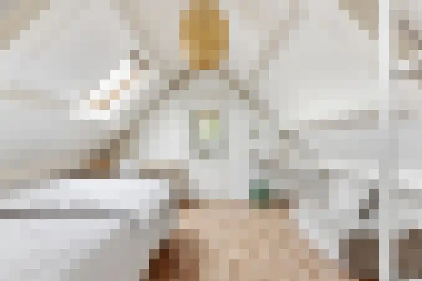 Stevensweg 25 Dordrecht thumbnail 42