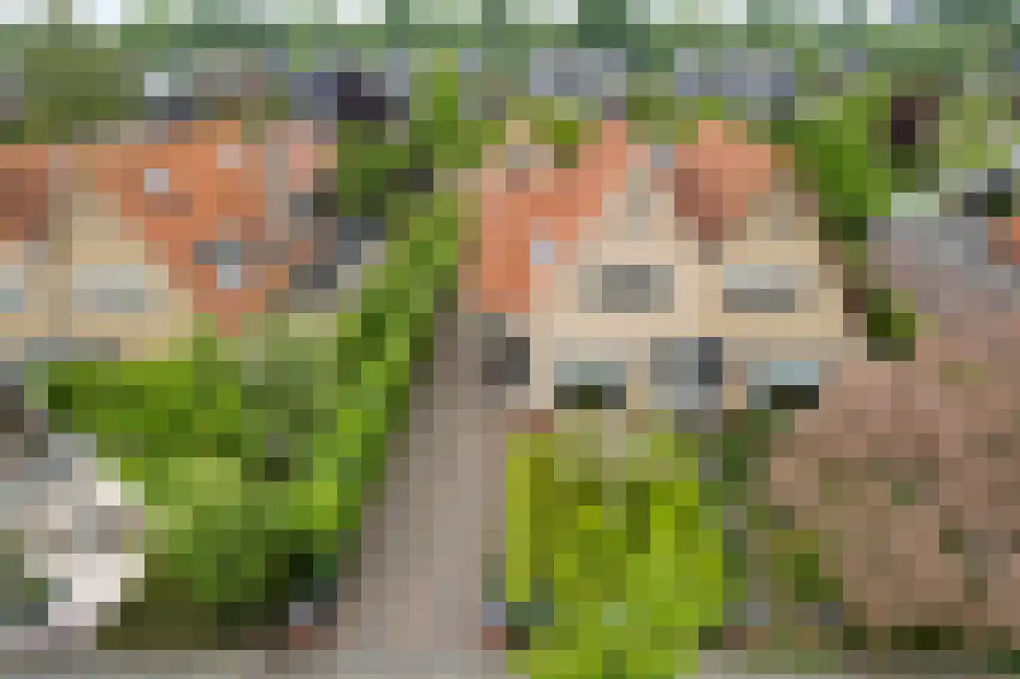 Stevensweg 25 Dordrecht thumbnail 55