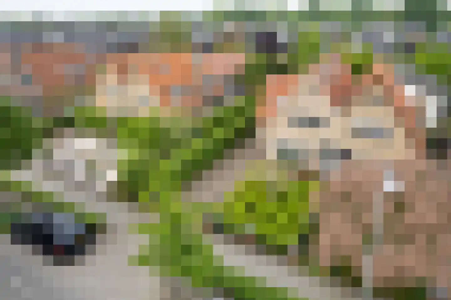 Stevensweg 25 Dordrecht thumbnail 56