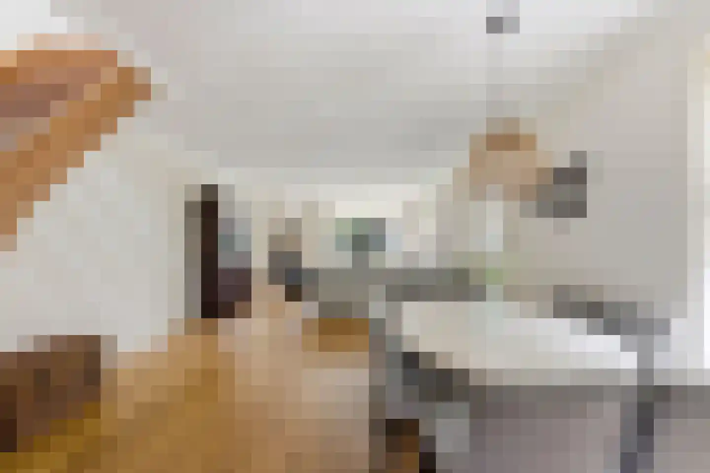 Stevensweg 25 Dordrecht thumbnail 7