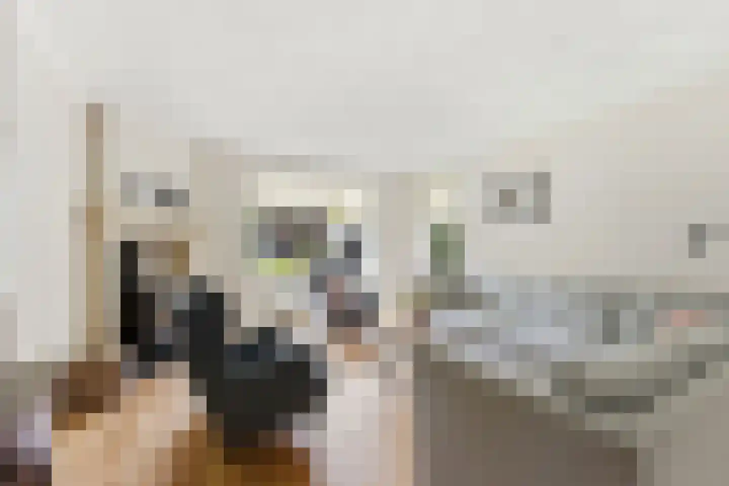 Stevensweg 25 Dordrecht thumbnail 8