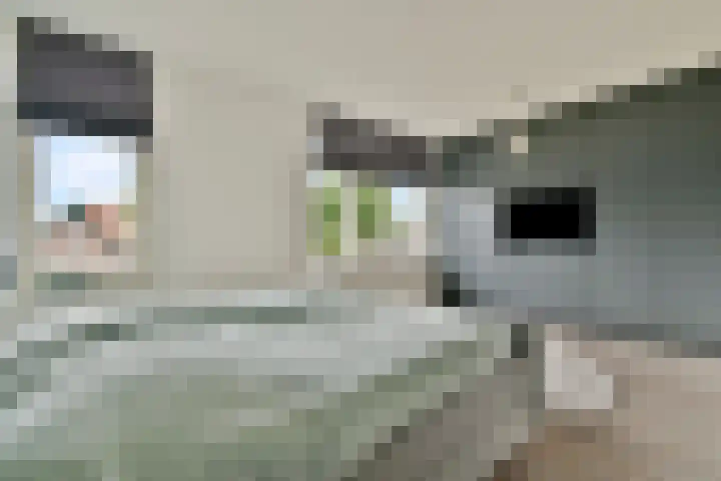 Stevensweg 37 Dordrecht thumbnail 17