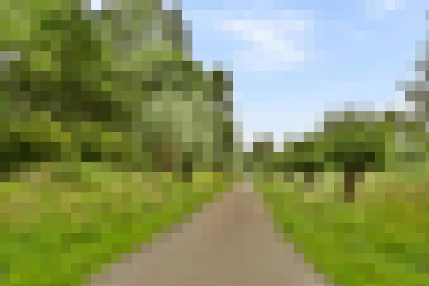 Stevensweg 37 Dordrecht thumbnail 32