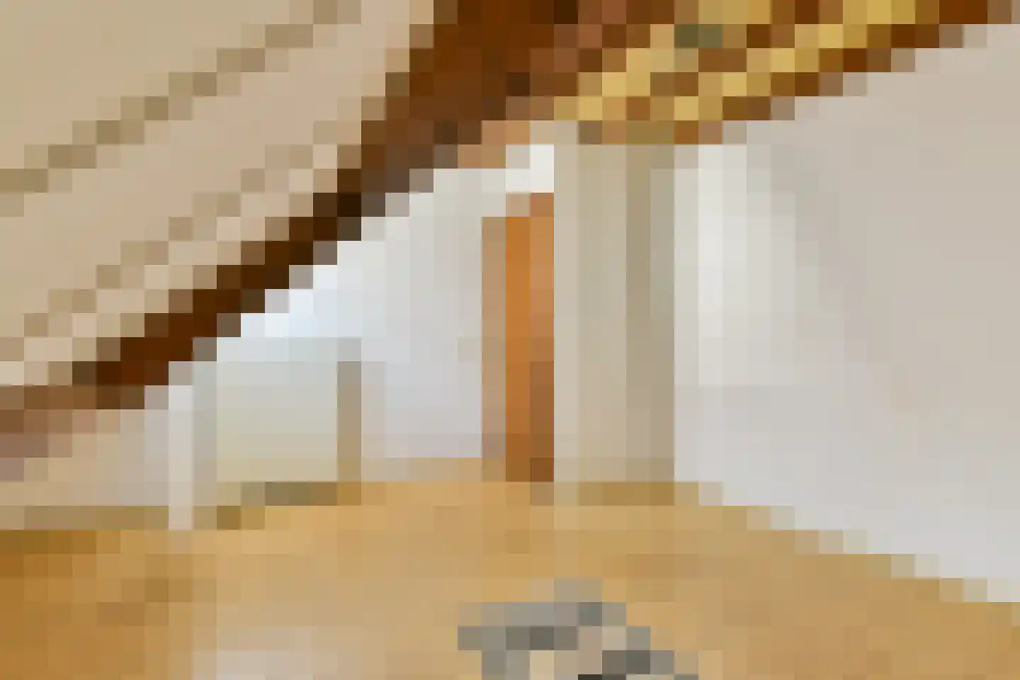 Stevensweg 39 Dordrecht thumbnail 30