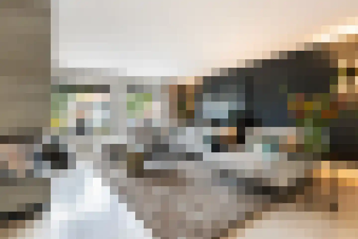 Stevensweg 5 Dordrecht thumbnail 17