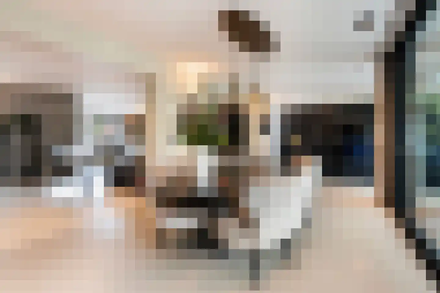 Stevensweg 5 Dordrecht thumbnail 24