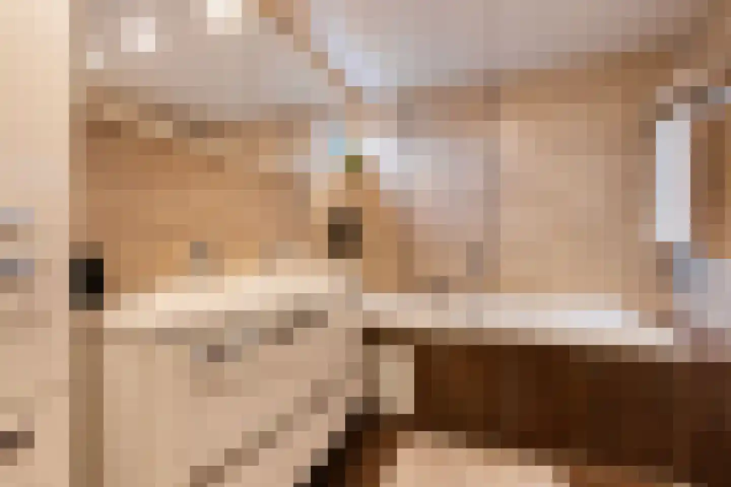 Stevensweg 5 Dordrecht thumbnail 41