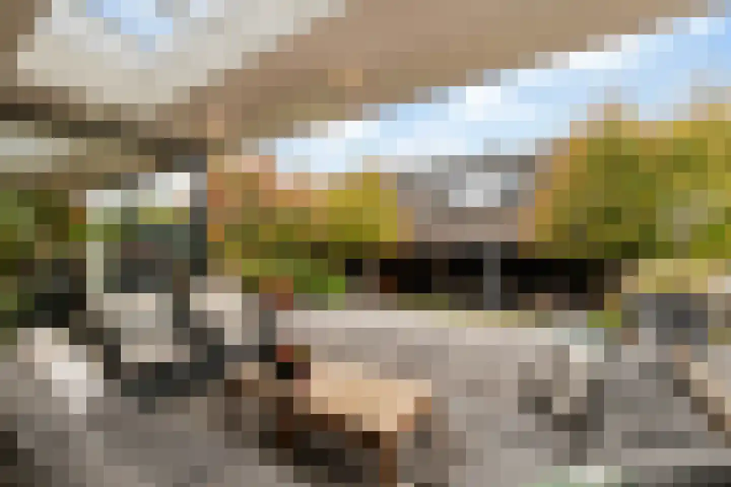 Stevensweg 5 Dordrecht thumbnail 43
