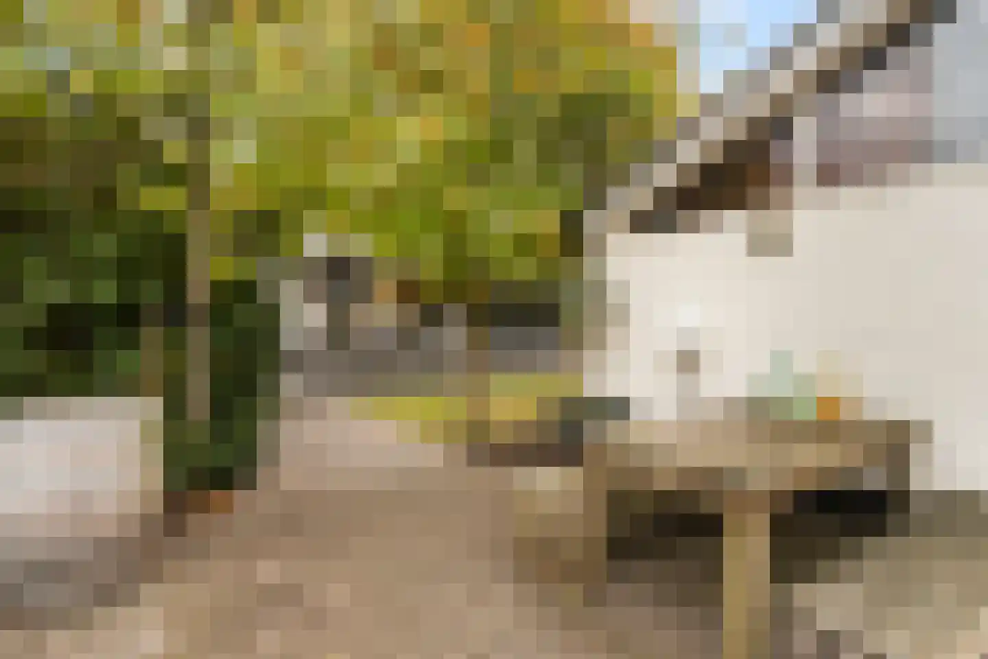 Stevensweg 5 Dordrecht thumbnail 51