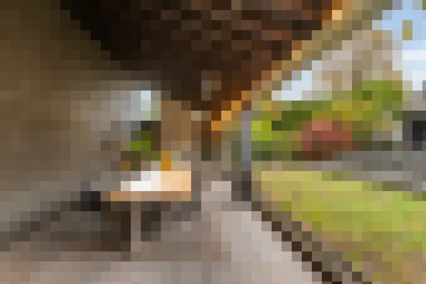 Stevensweg 5 Dordrecht thumbnail 54