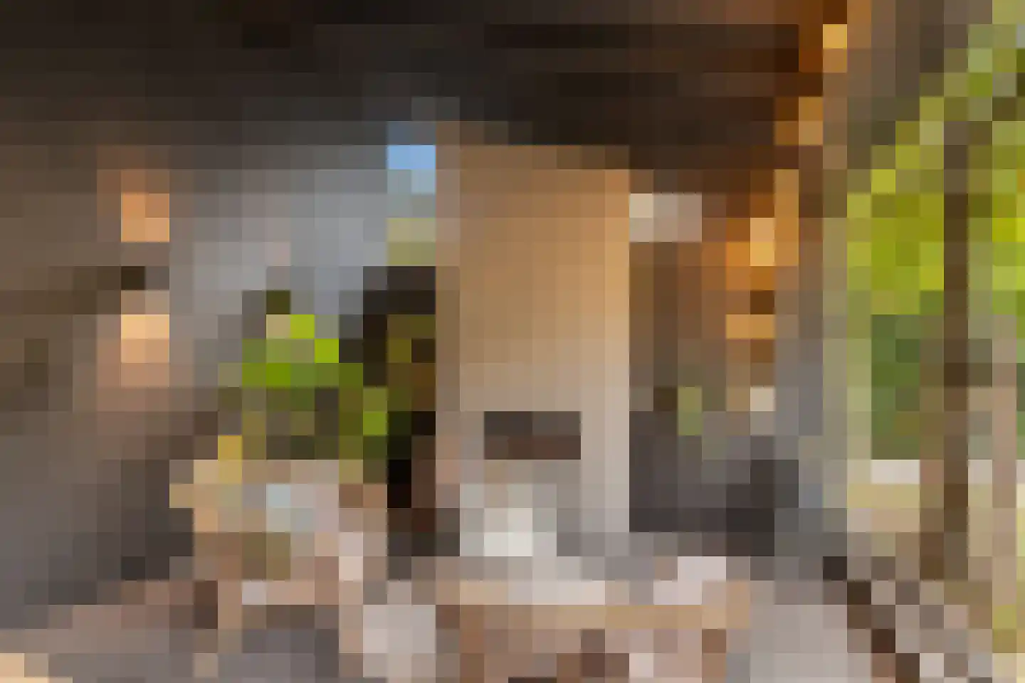 Stevensweg 5 Dordrecht thumbnail 55