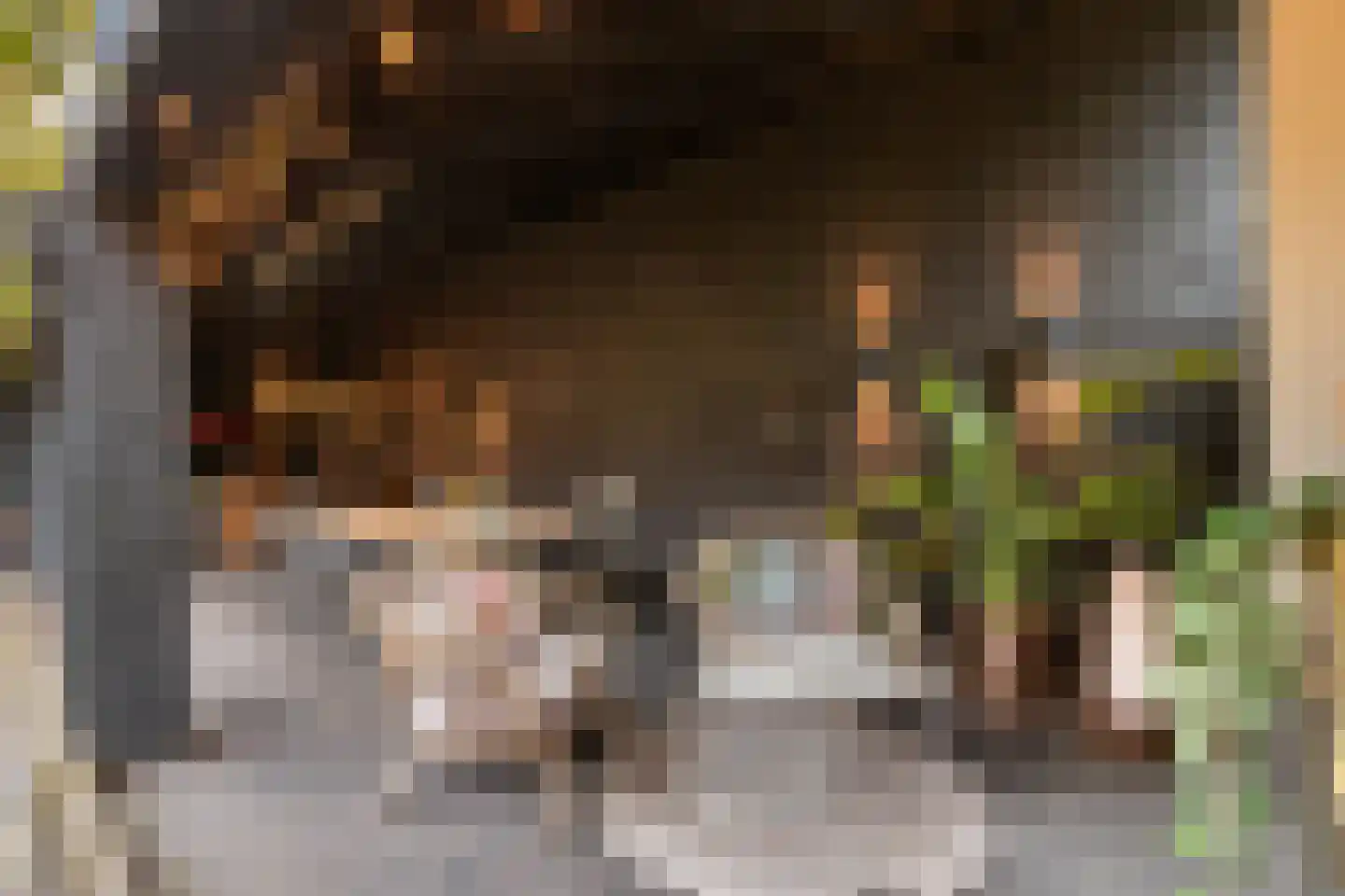 Stevensweg 5 Dordrecht thumbnail 56