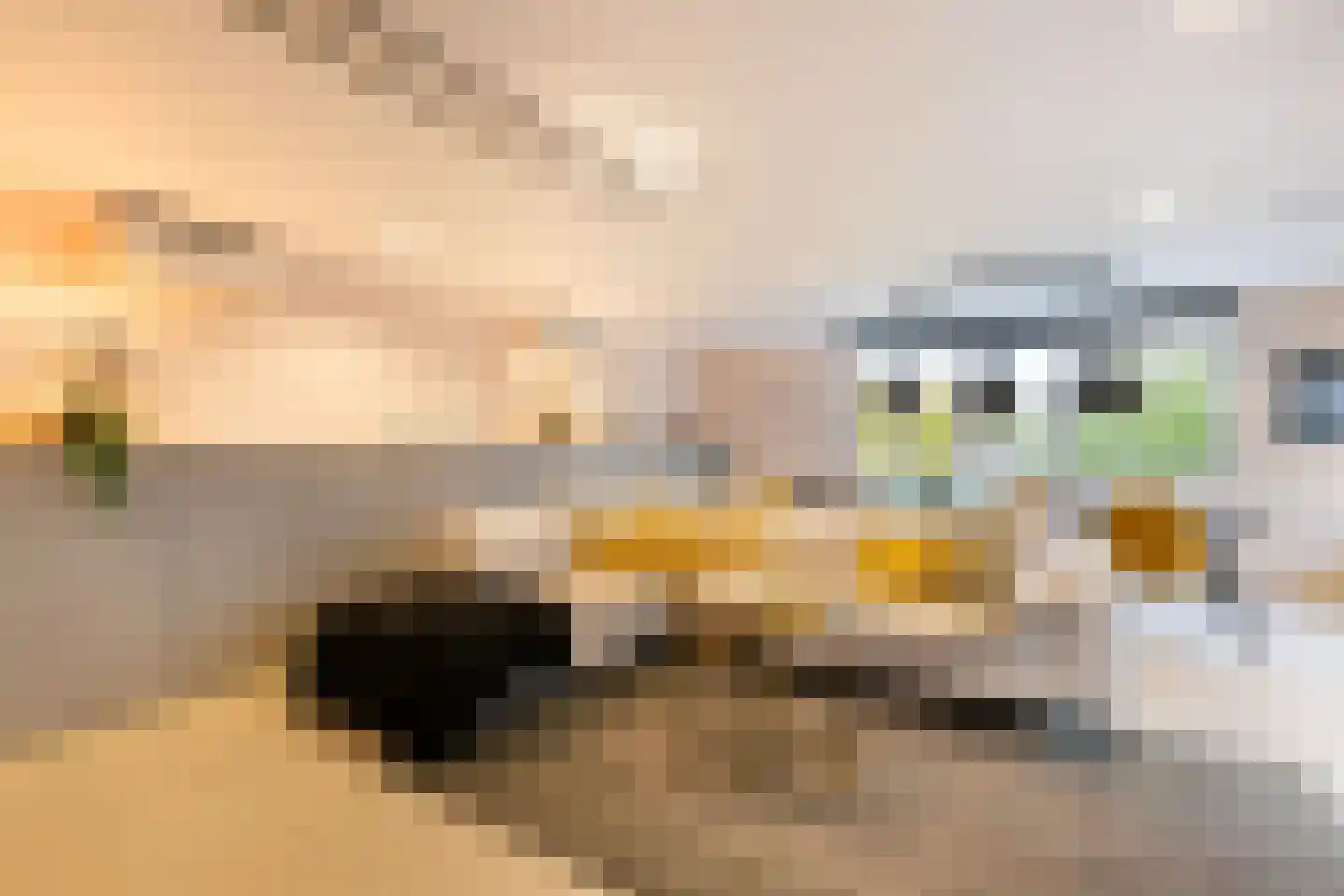 Stevensweg 5 Dordrecht thumbnail 62