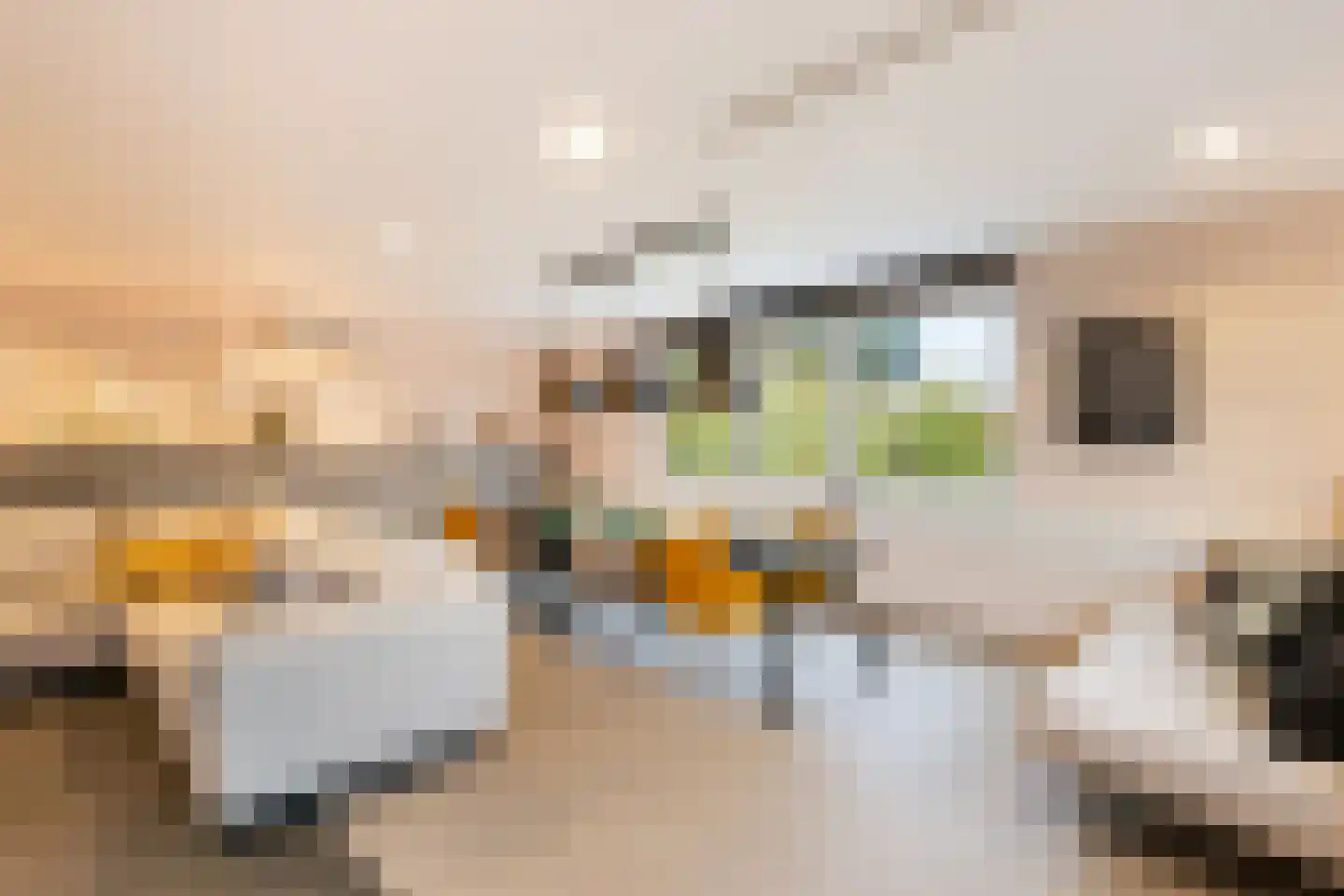 Stevensweg 5 Dordrecht thumbnail 63