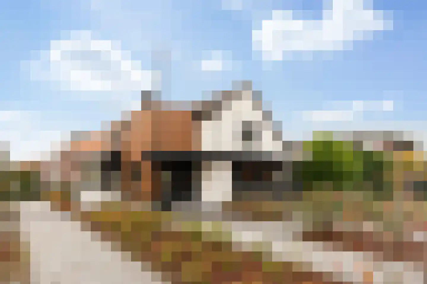 Stevensweg 5 Dordrecht thumbnail 69