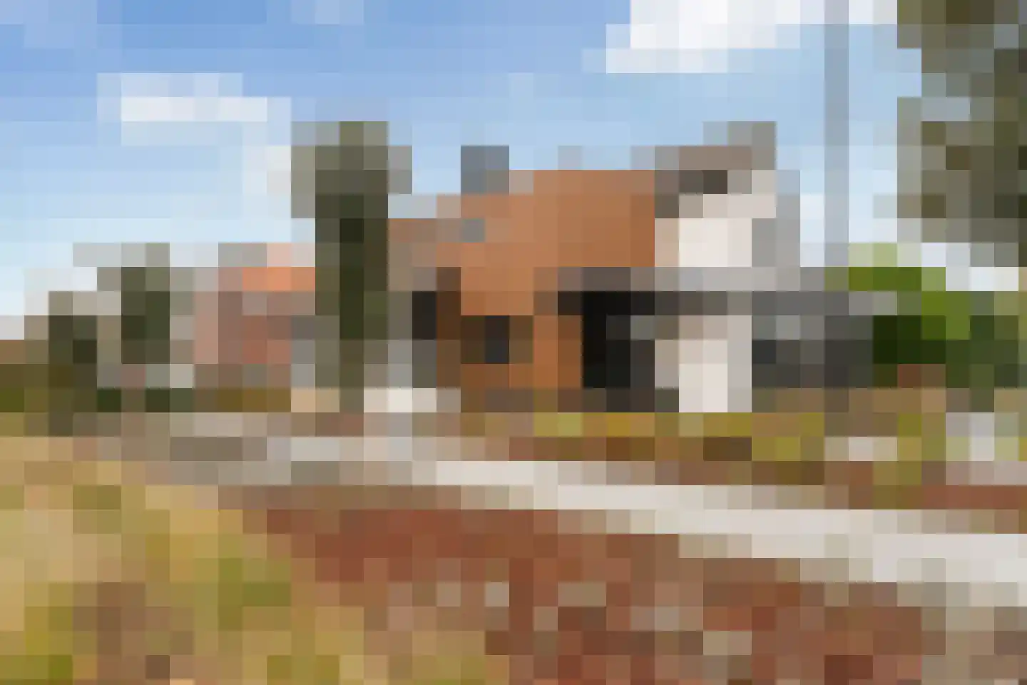 Stevensweg 5 Dordrecht thumbnail 70