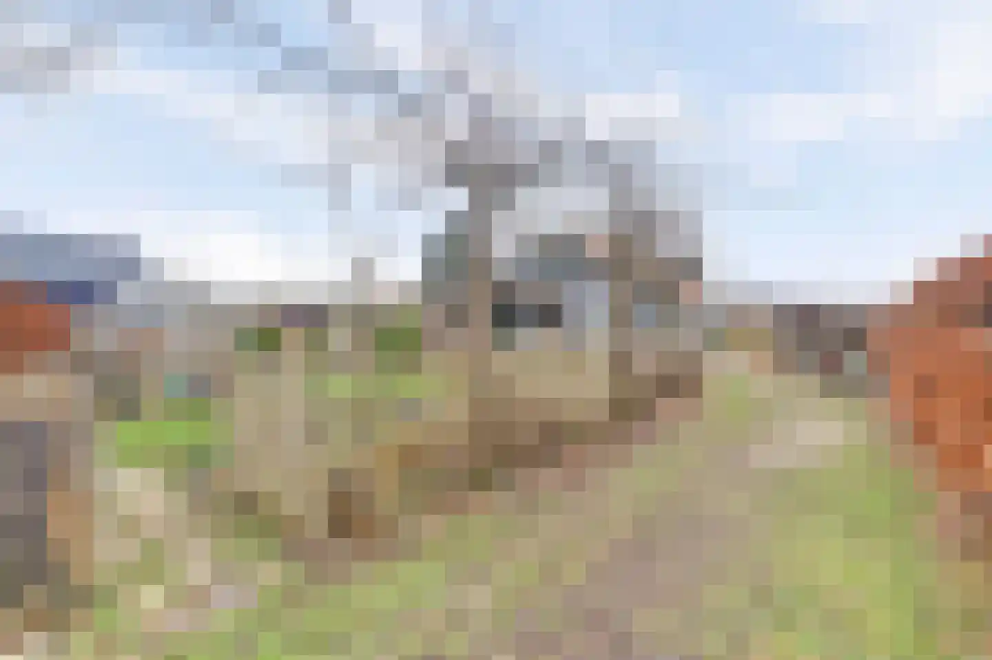 Stevensweg 83 Dordrecht thumbnail 66