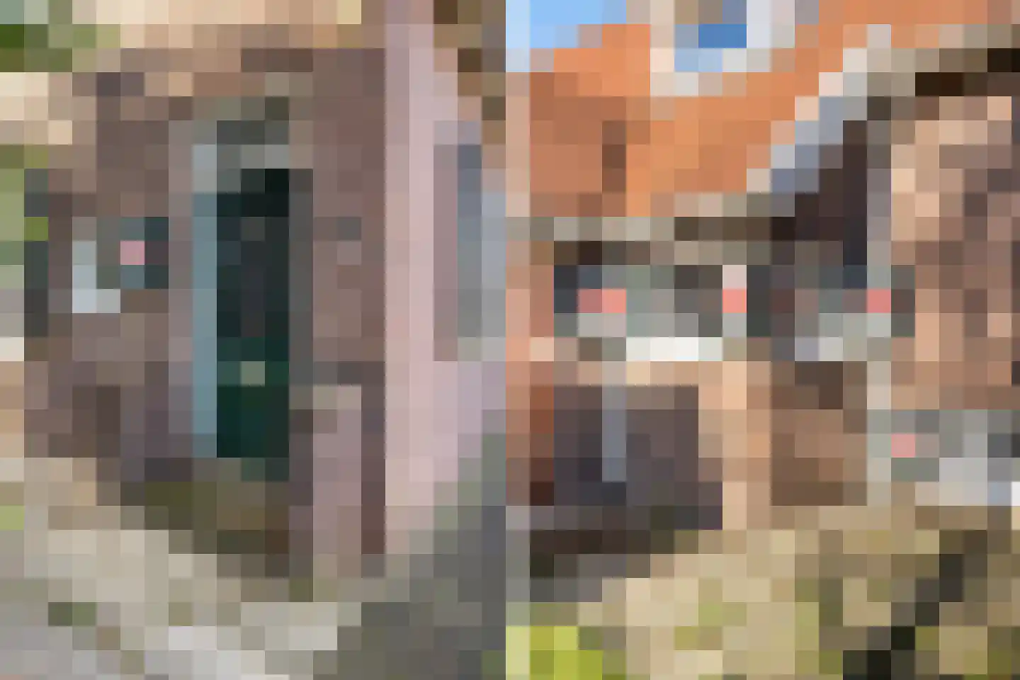 Stevensweg 91 Dordrecht thumbnail 10