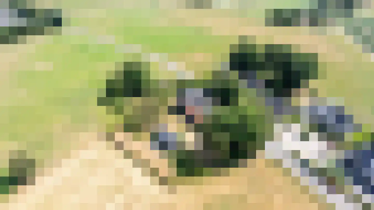 Steverinkstraat 63 Gaanderen thumbnail 101