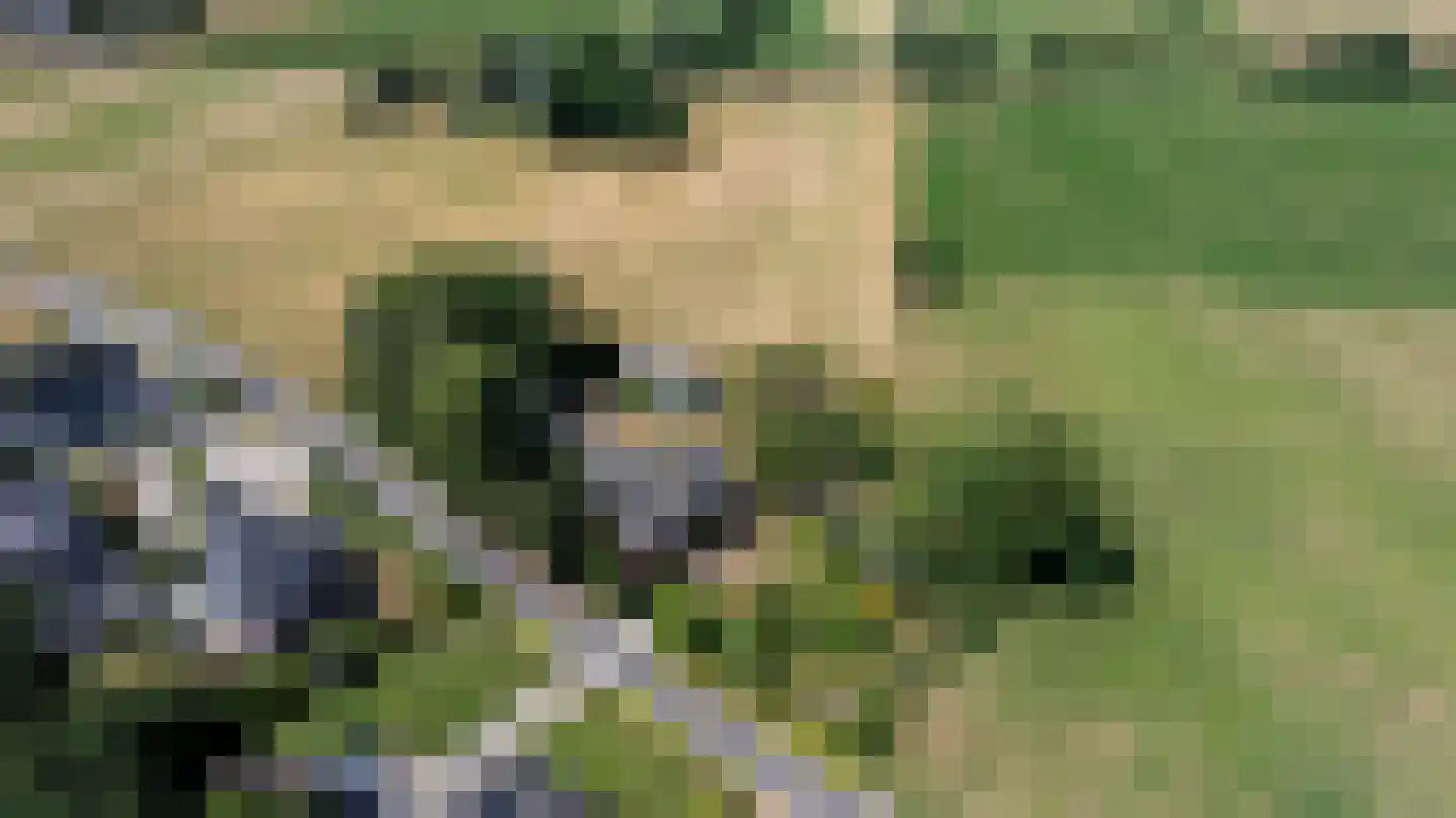 Steverinkstraat 63 Gaanderen thumbnail 103