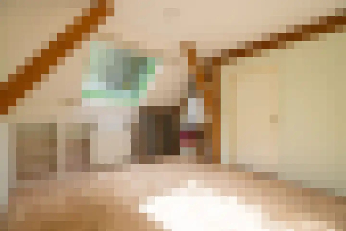 Steverinkstraat 63 Gaanderen thumbnail 35