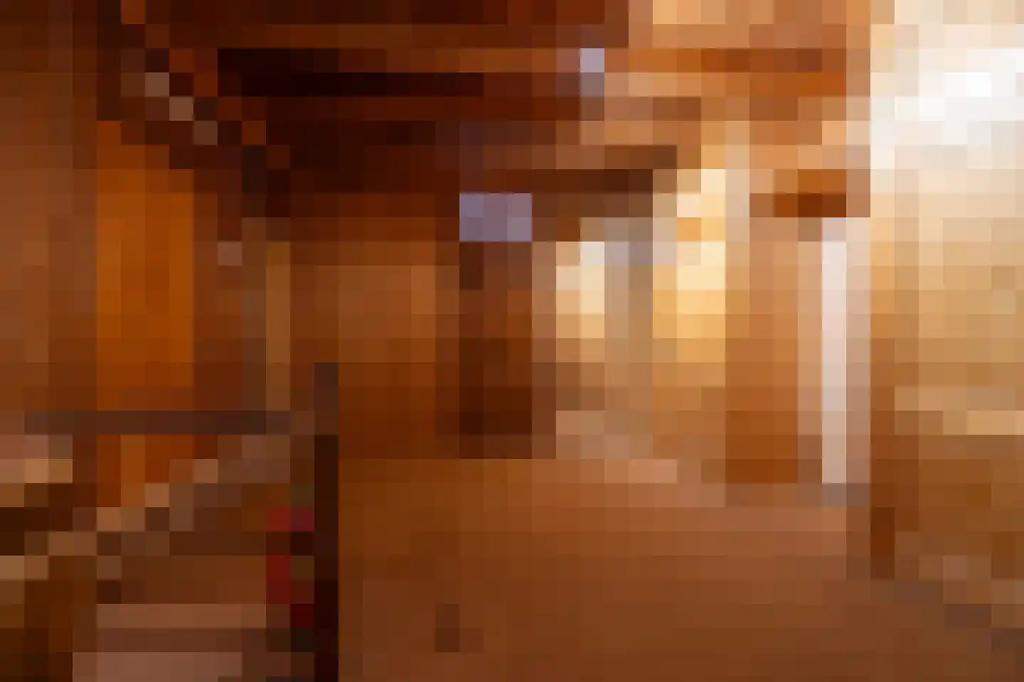 Steverinkstraat 63 Gaanderen thumbnail 43