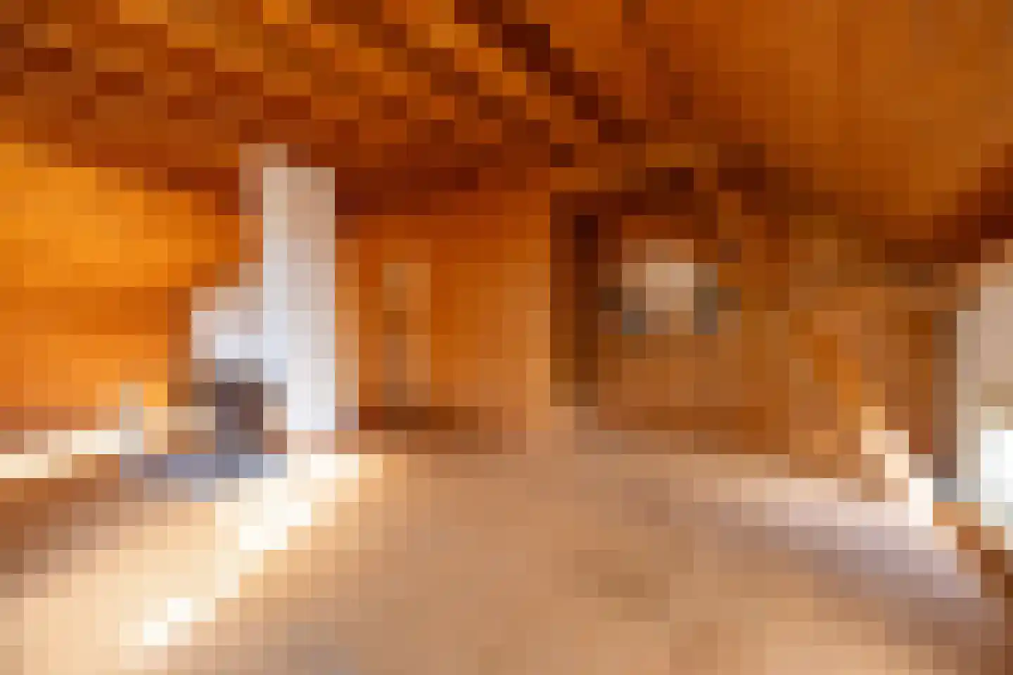 Steverinkstraat 63 Gaanderen thumbnail 50