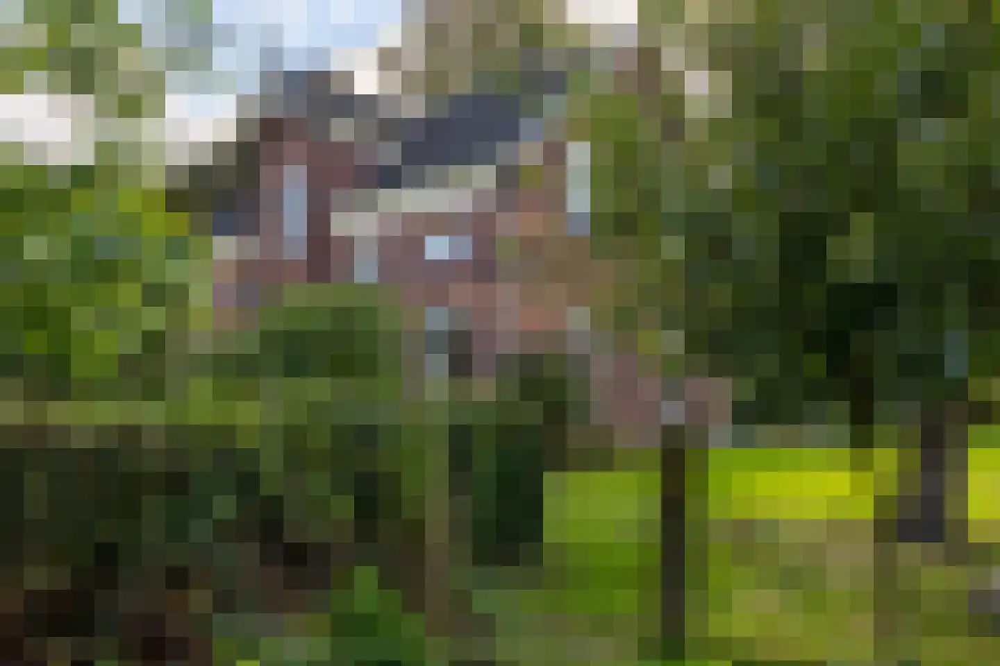 Steverinkstraat 63 Gaanderen thumbnail 63