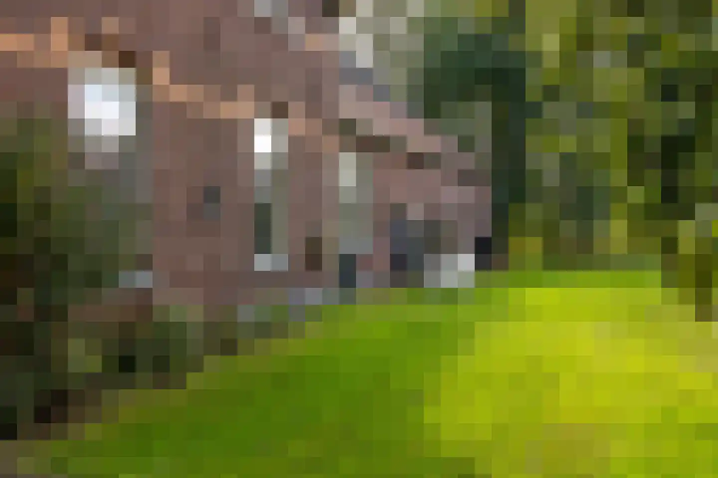 Steverinkstraat 63 Gaanderen thumbnail 64