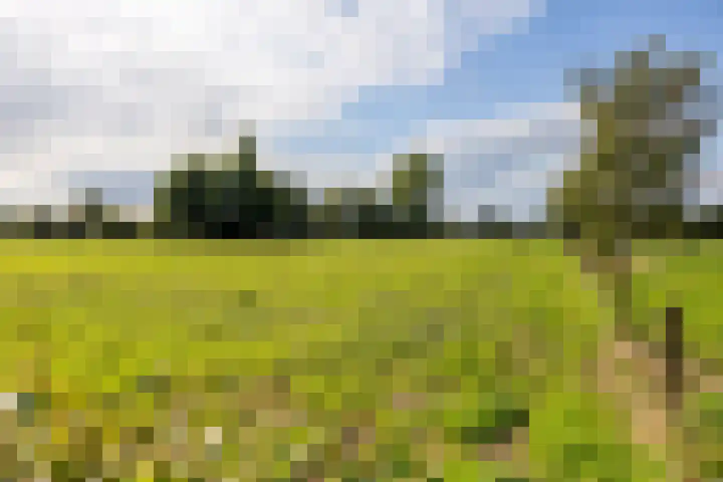 Steverinkstraat 63 Gaanderen thumbnail 68