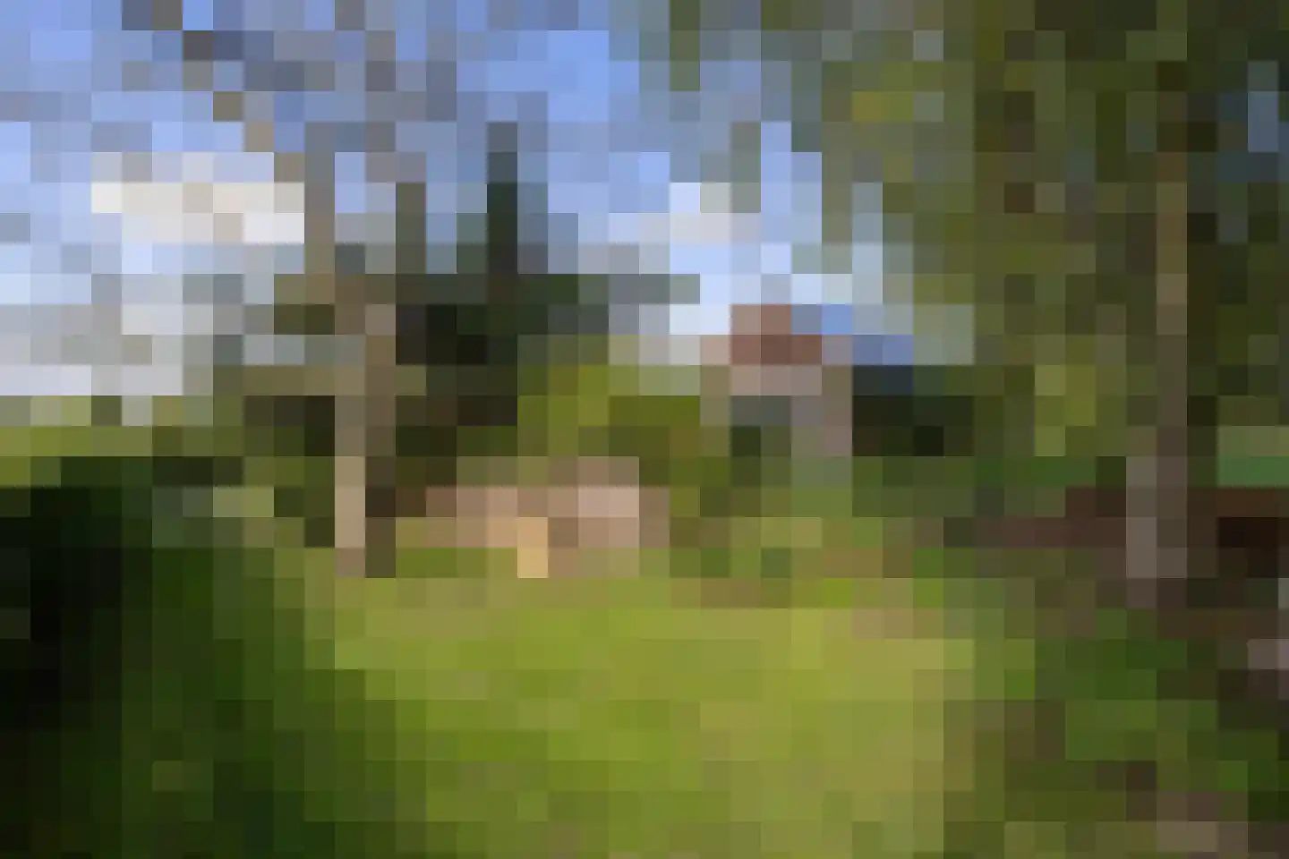 Steverinkstraat 63 Gaanderen thumbnail 75